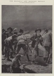 Matabili- og Mashona-oprøret